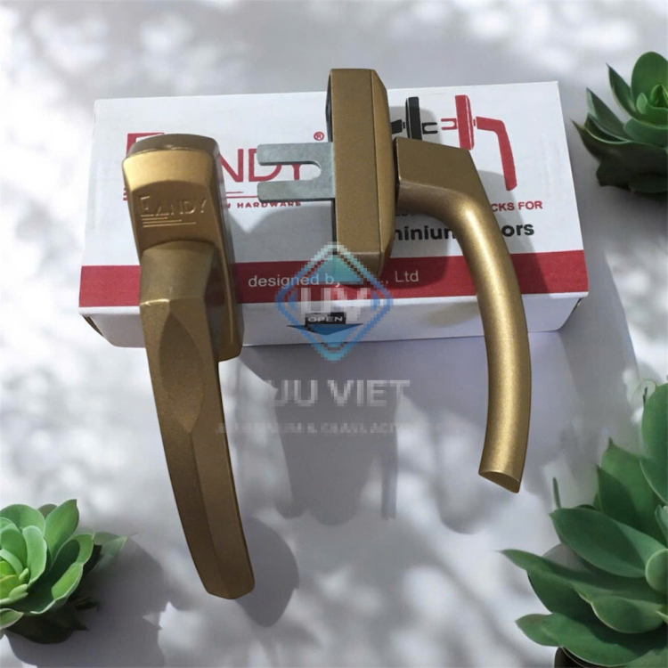 TAY ĐA ĐIỂM CANDY CHAMPANH