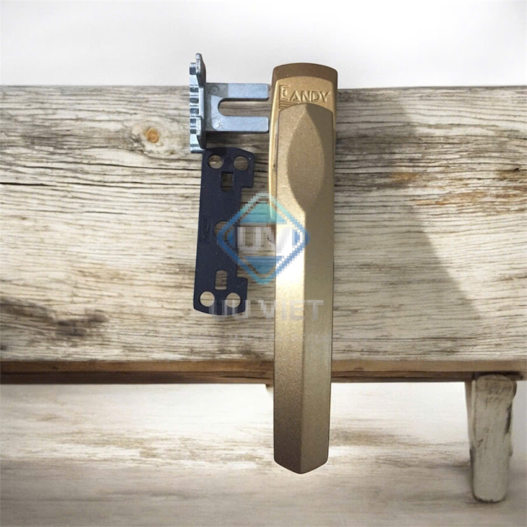 TAY ĐA ĐIỂM CANDY CHAMPANH